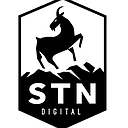 STN Digital company logo
