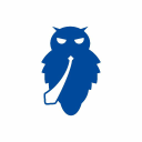 Blue Owl company logo