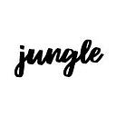 Jungleai company logo