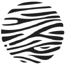 Spotted Zebra company logo