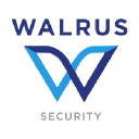Walrusfi company logo
