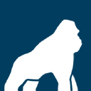 Health Gorilla company logo