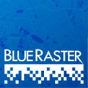 Blue Raster company logo