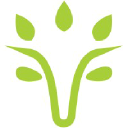 Viridios company logo