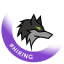 Dark Wolf Solutions company logo