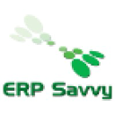 ERP Savvy company logo