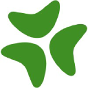 Bloomerang company logo