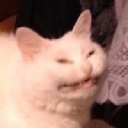 Technical Content Writer & Knowledge Specialist