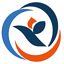 Senior Business Analyst